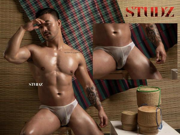 STUDZ-01--Zesty--Ebook--Video-